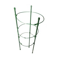 Espalier 45CM